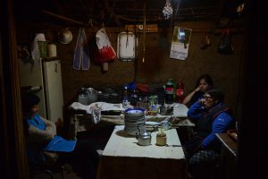 mucam_las_mostazas-12