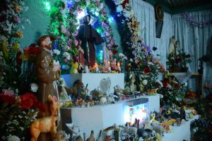 mucam_las_mostazas-34