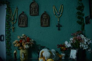 mucam_las_mostazas-41