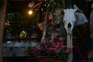 mucam_las_mostazas-44