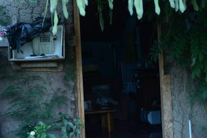 mucam_las_mostazas-50