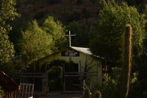 mucam_las_mostazas-56