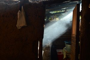 mucam_las_mostazas-59